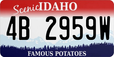 ID license plate 4B2959W