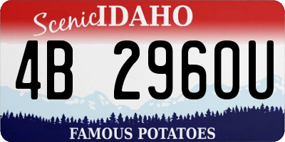 ID license plate 4B2960U