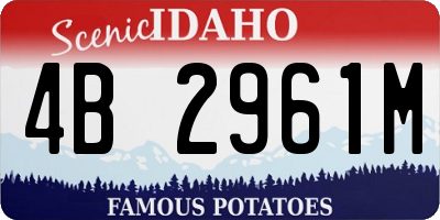 ID license plate 4B2961M