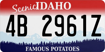 ID license plate 4B2961Z