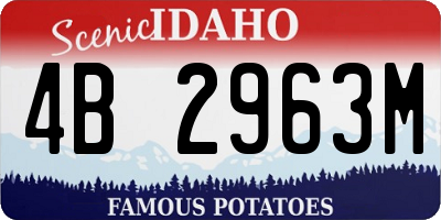 ID license plate 4B2963M