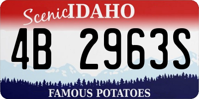 ID license plate 4B2963S