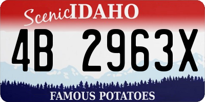 ID license plate 4B2963X