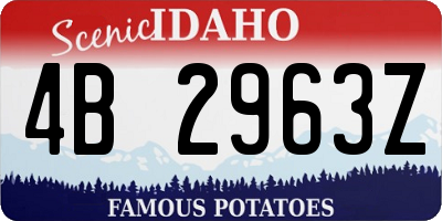 ID license plate 4B2963Z
