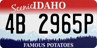 ID license plate 4B2965P