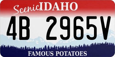 ID license plate 4B2965V