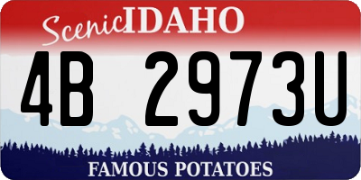 ID license plate 4B2973U