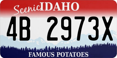 ID license plate 4B2973X