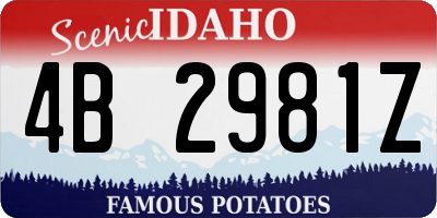 ID license plate 4B2981Z