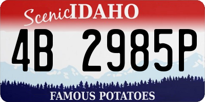 ID license plate 4B2985P