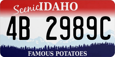 ID license plate 4B2989C