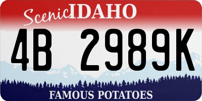 ID license plate 4B2989K