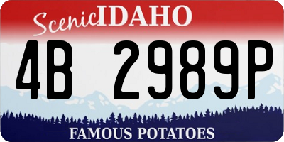 ID license plate 4B2989P