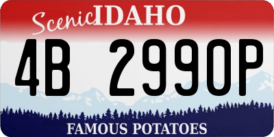 ID license plate 4B2990P