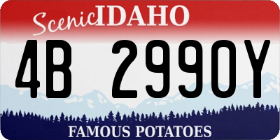 ID license plate 4B2990Y
