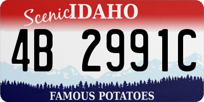 ID license plate 4B2991C