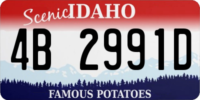 ID license plate 4B2991D