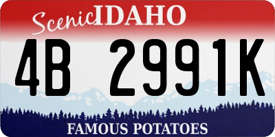 ID license plate 4B2991K