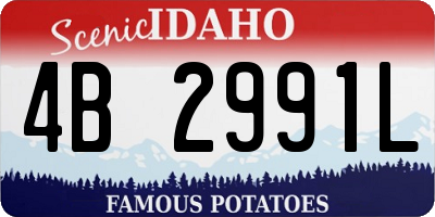 ID license plate 4B2991L