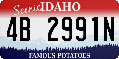 ID license plate 4B2991N