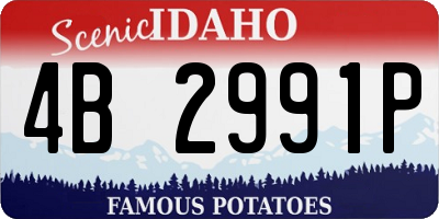 ID license plate 4B2991P