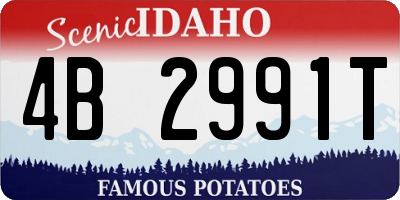ID license plate 4B2991T
