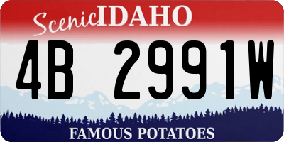 ID license plate 4B2991W