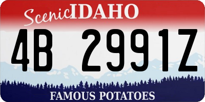 ID license plate 4B2991Z
