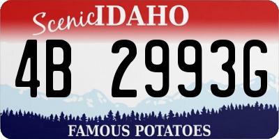 ID license plate 4B2993G