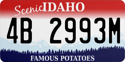 ID license plate 4B2993M