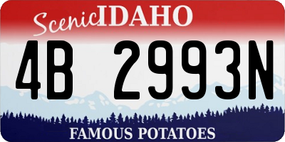 ID license plate 4B2993N