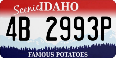 ID license plate 4B2993P