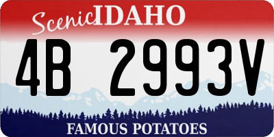 ID license plate 4B2993V