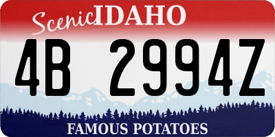 ID license plate 4B2994Z