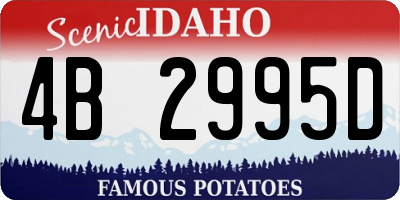 ID license plate 4B2995D