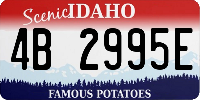 ID license plate 4B2995E
