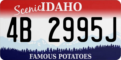 ID license plate 4B2995J