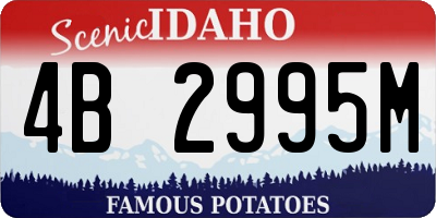 ID license plate 4B2995M