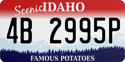 ID license plate 4B2995P
