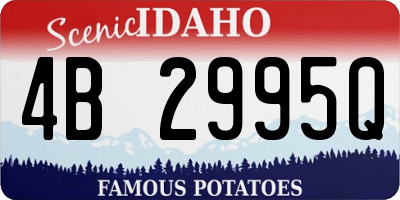 ID license plate 4B2995Q