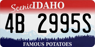 ID license plate 4B2995S