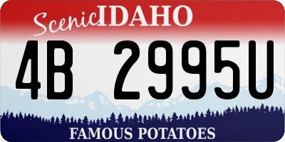 ID license plate 4B2995U