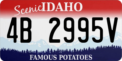 ID license plate 4B2995V