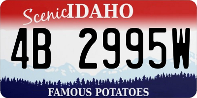 ID license plate 4B2995W