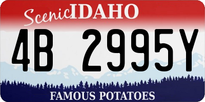 ID license plate 4B2995Y