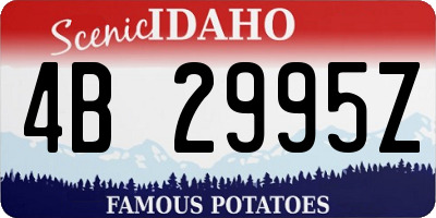 ID license plate 4B2995Z