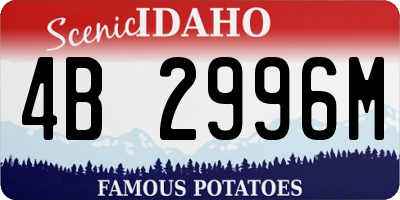 ID license plate 4B2996M