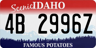 ID license plate 4B2996Z
