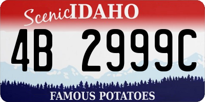 ID license plate 4B2999C