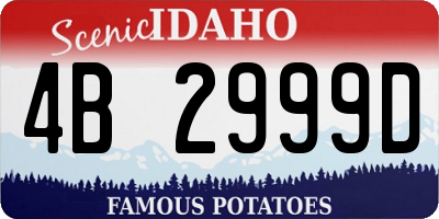 ID license plate 4B2999D